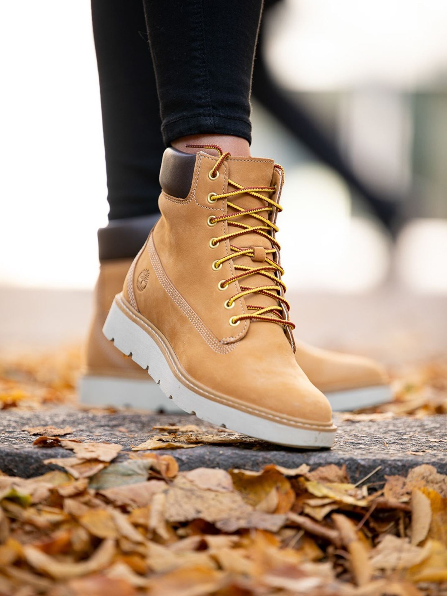 Kenniston 6 inch Lace Up Boot Wheat