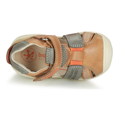 Biomecanics - 212135 - Cognac