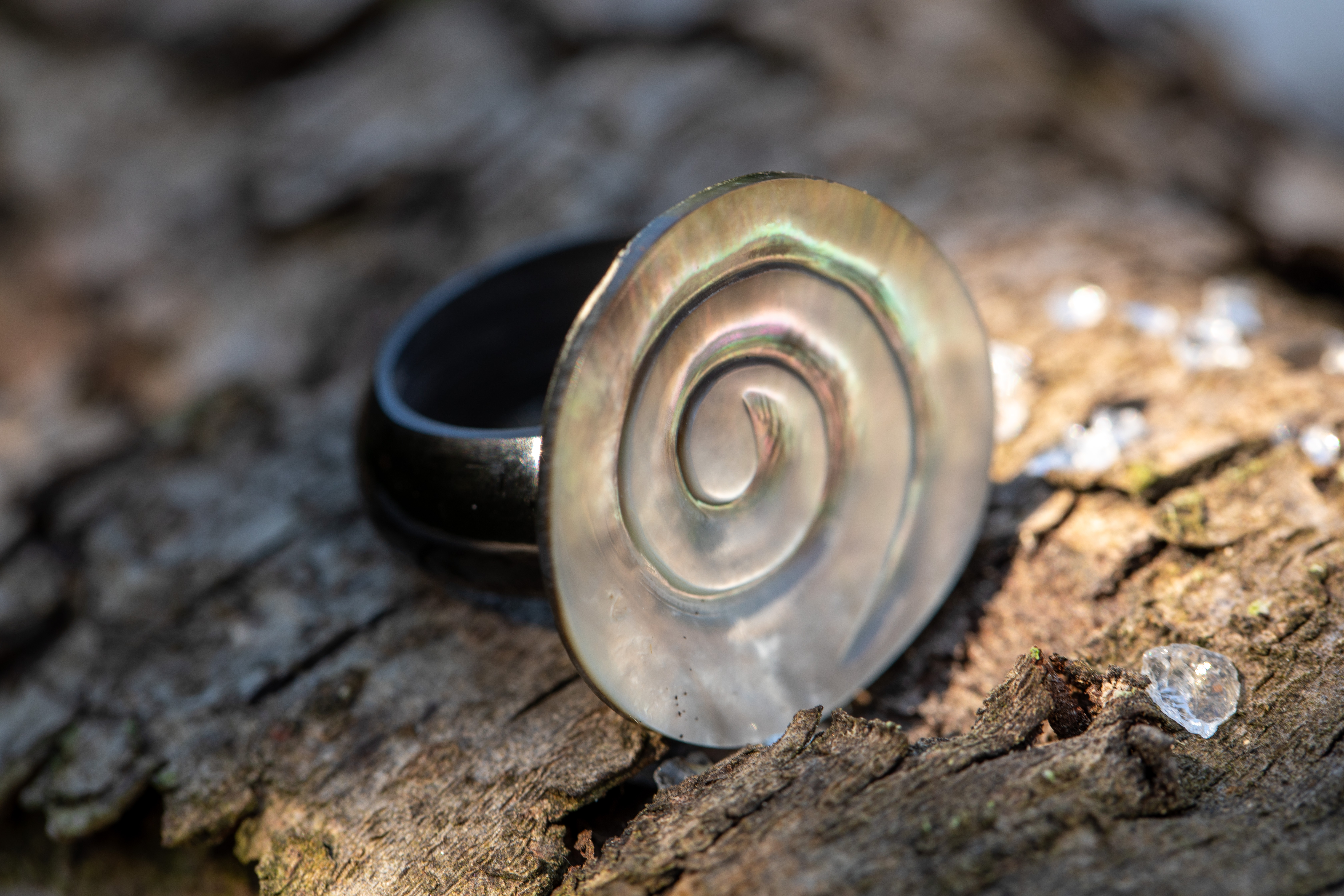 Ring 'Muschel-Spirale', natur, schwarz, Ø 4 cm günstig bestellen