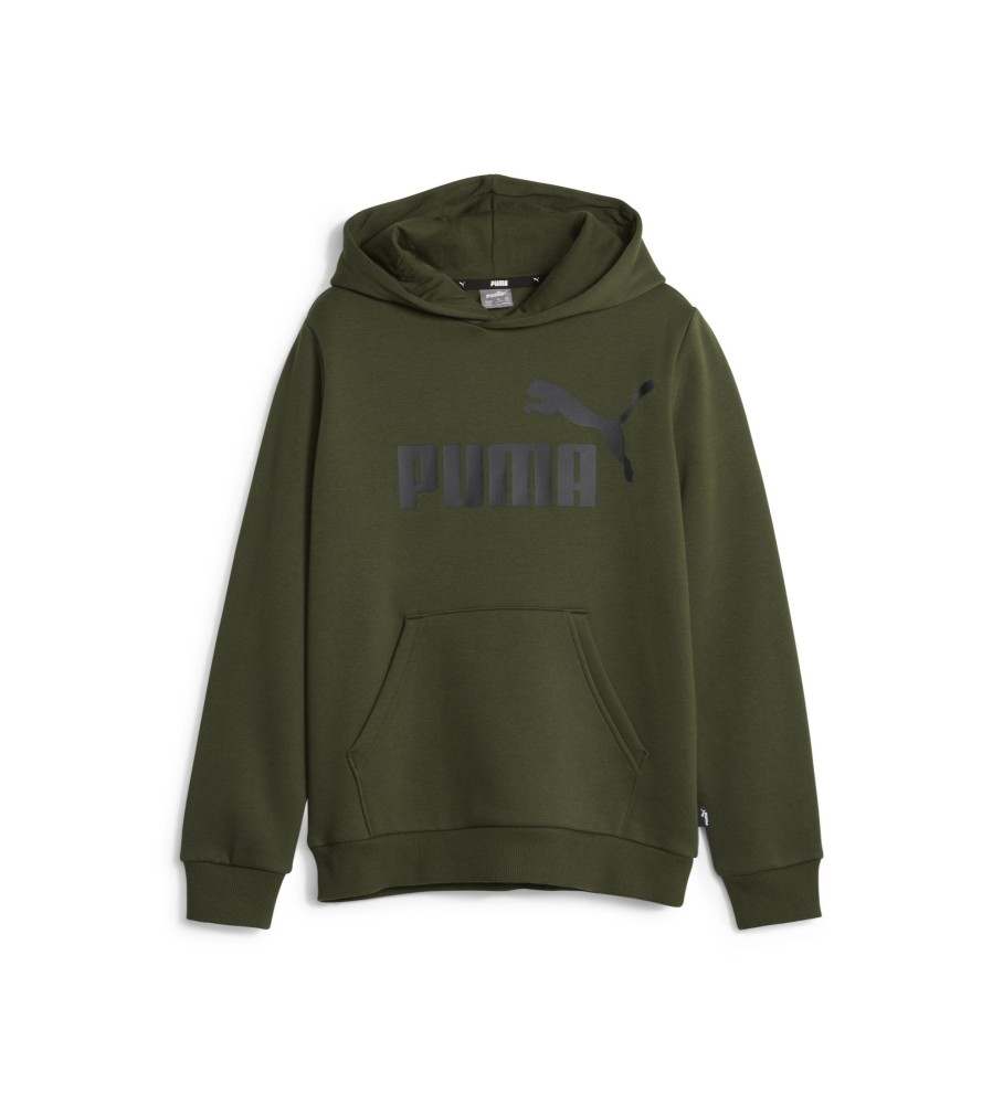 Moletom com capuz Puma Essentials Big Logo Verde