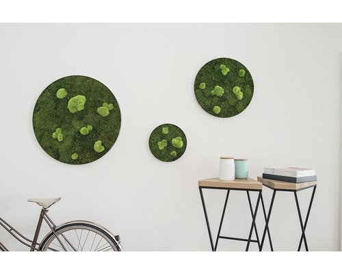 Mos schilderij bos & bal mos ellipsoïden set van 3 Ø 34 cm, 54 cm, 80 cm