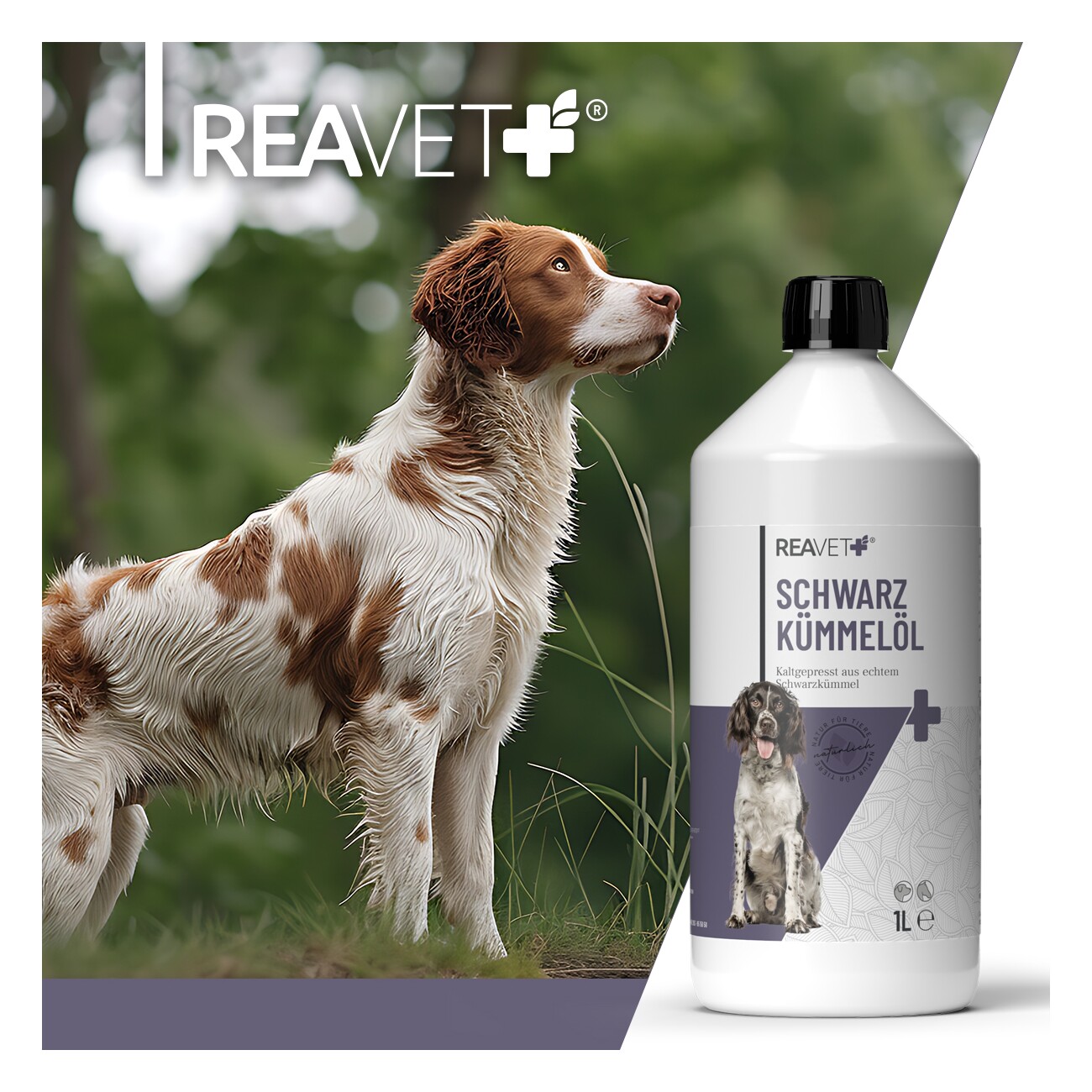 REAVET Schwarzkümmelöl 1 Liter