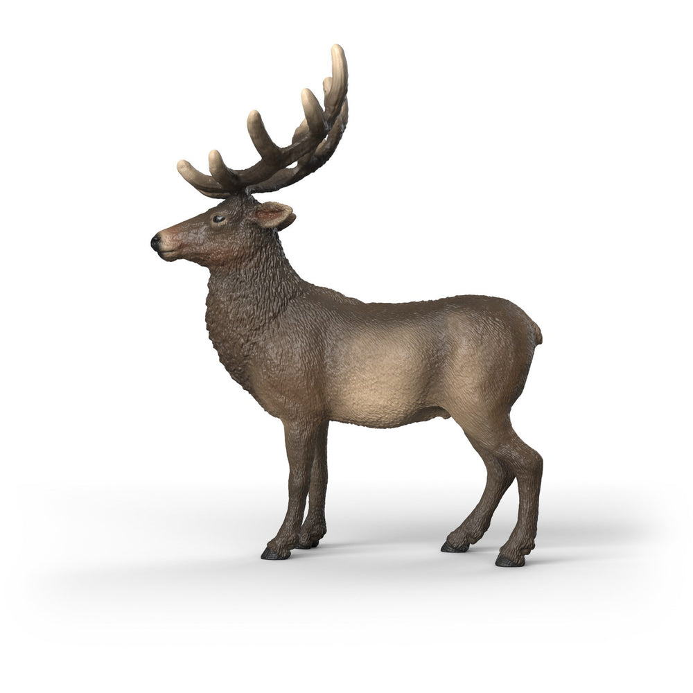 Køb Schleich Elg