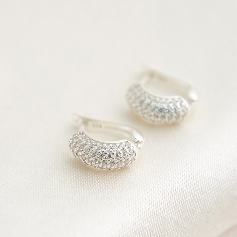 Boucles d'oreilles - Argent 925/000 & zircons
