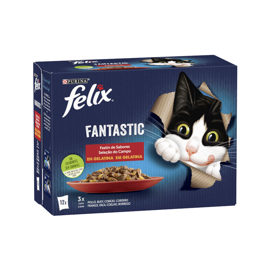 Sachês de Carne Fantástica em Gelatina Felix - Pacote com Vários