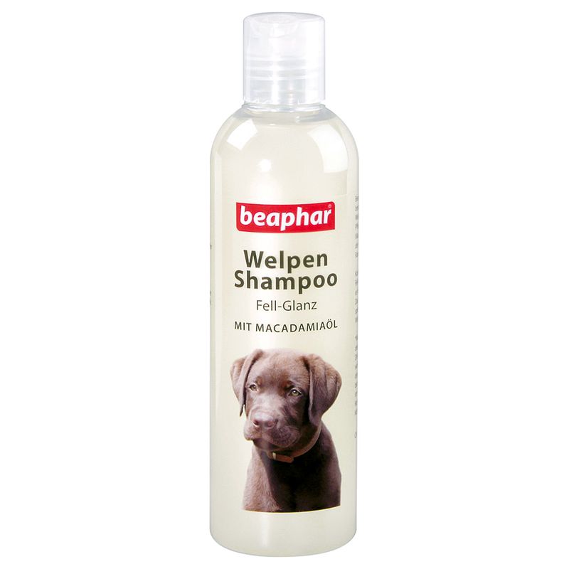 Shampooing beaphar chiot