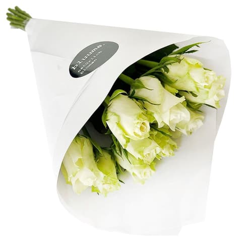 bluums. Rosen weiß