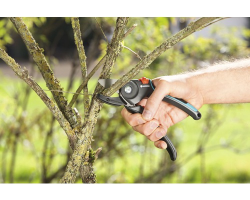 GARDENA Anvil A/M snoeischaar, tuinschaar