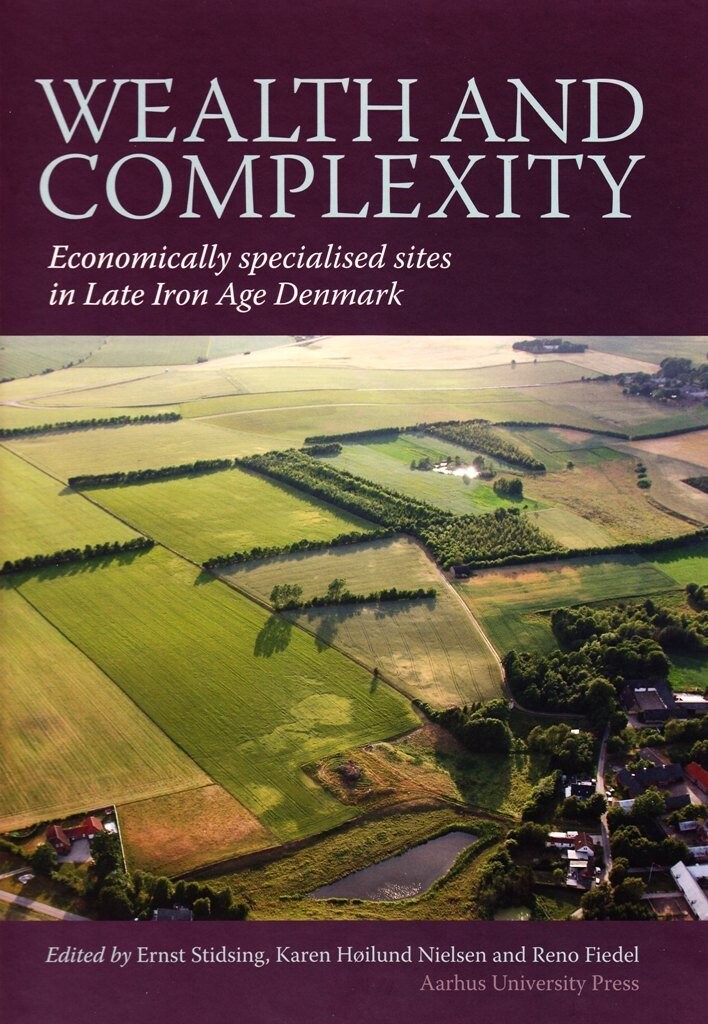 Wealth And Complexity - Ernst Stidsing - Bog