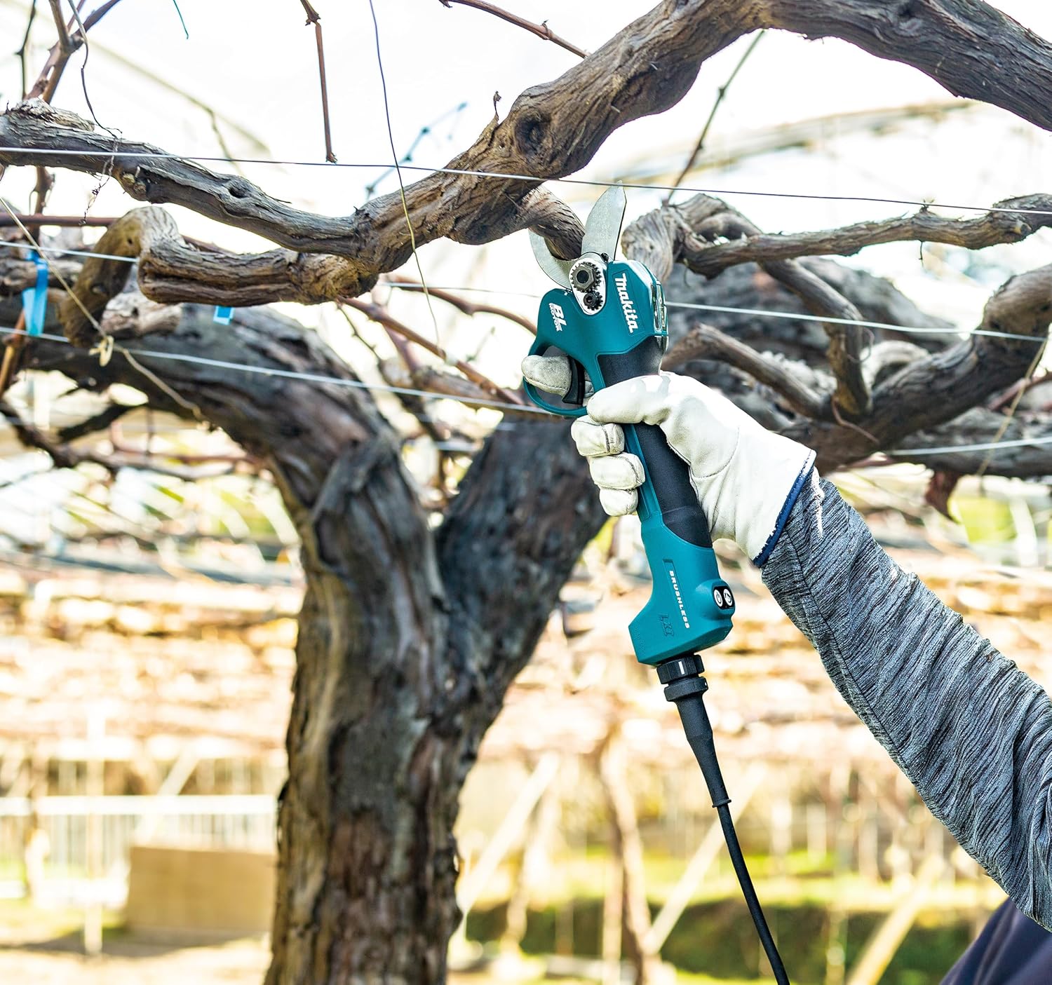 Makita DUP180Z Akku-Rebschere 18V (ohne Akku, ohne Ladegerät)