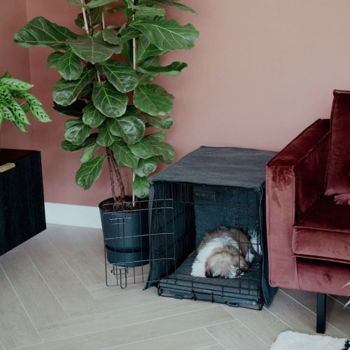 Gaiola dobrável para cães District70