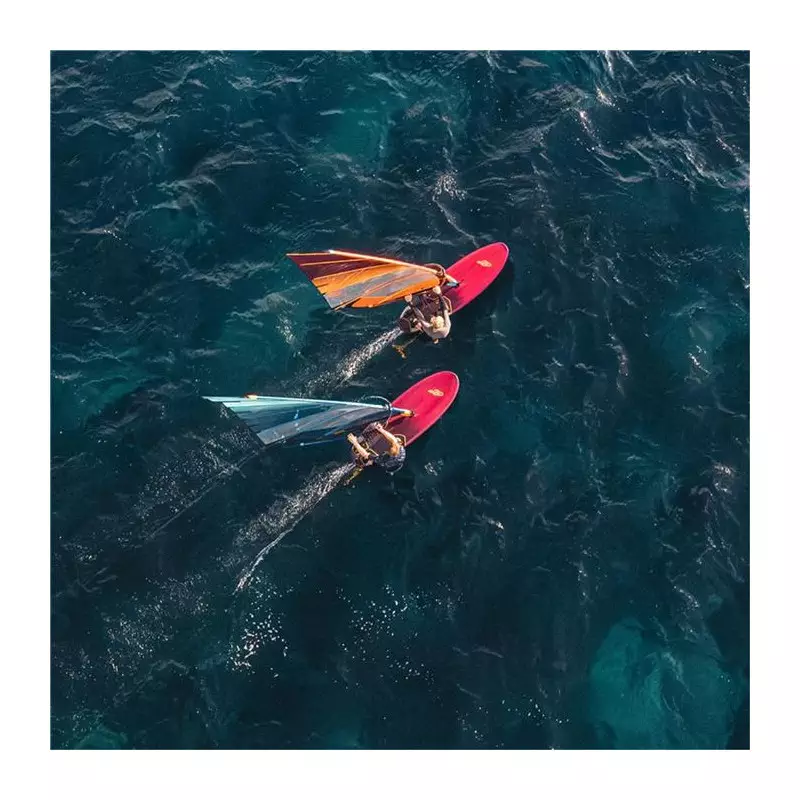 Voile windsurf NEILPRYDE Speedster 2024