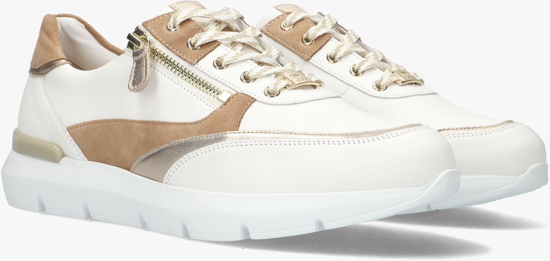 camel hassia lage sneakers bordeaux