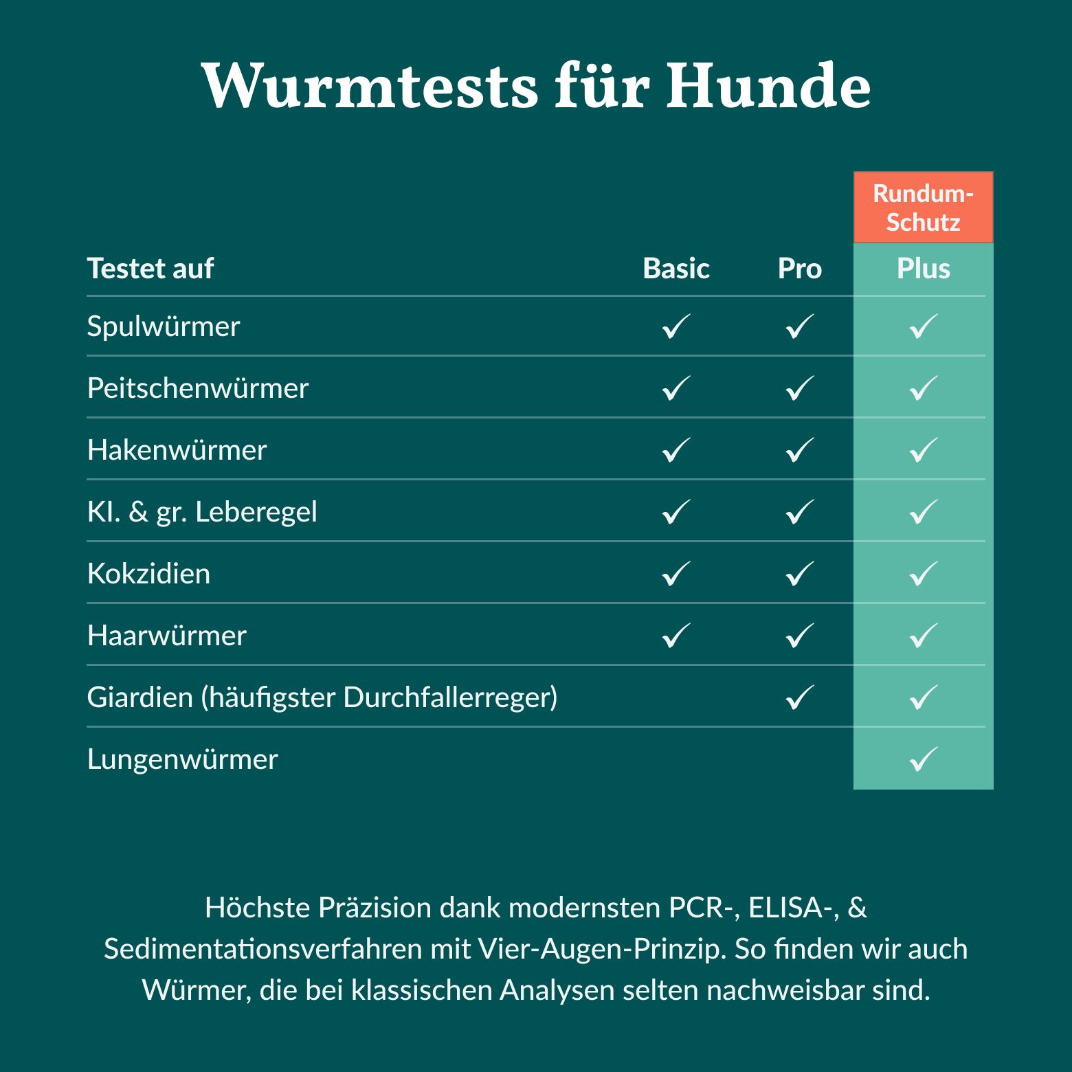 Wurmtest Plus Hund