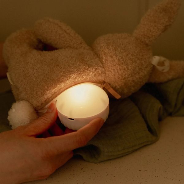 Little Dutch Newborn Knuffelkonijn Licht & Geluid