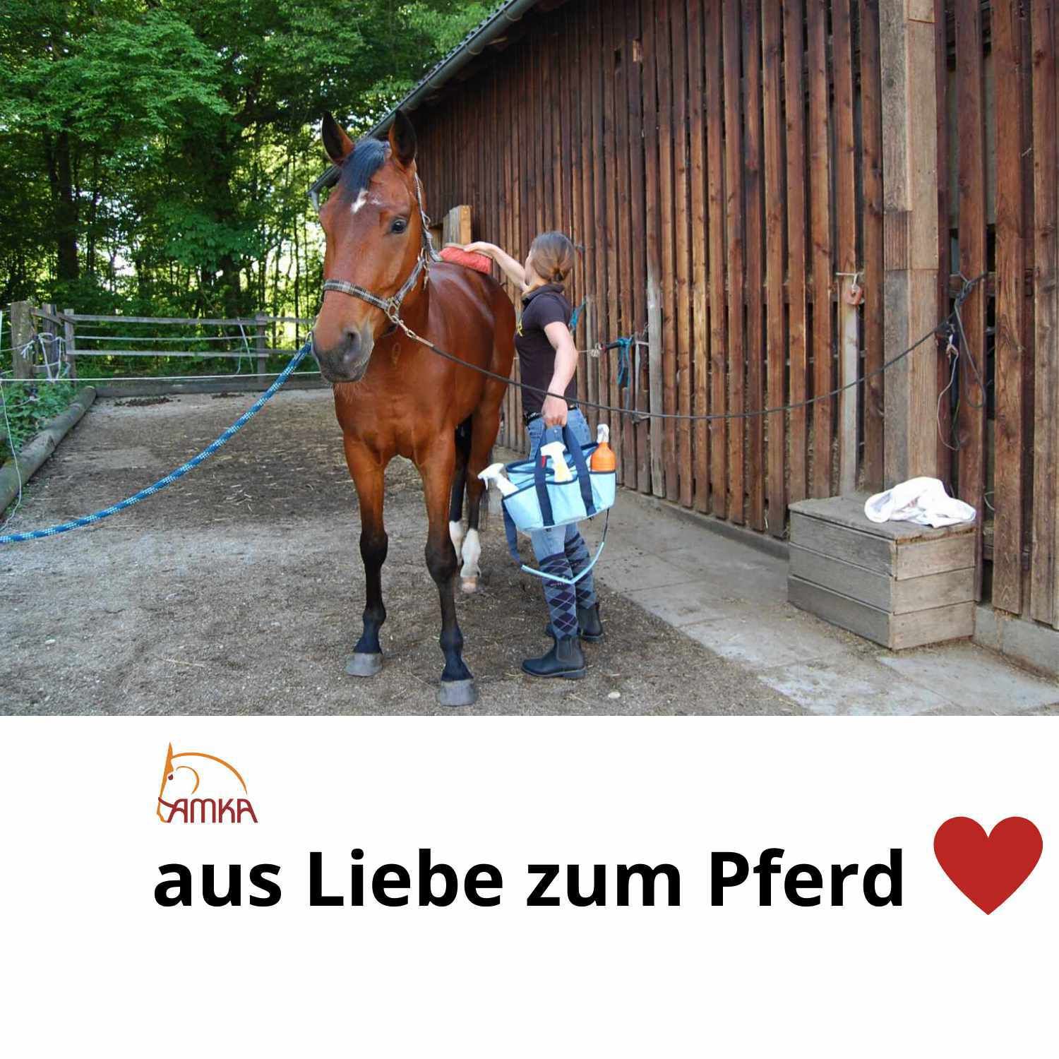 AMKA Pferdebürste