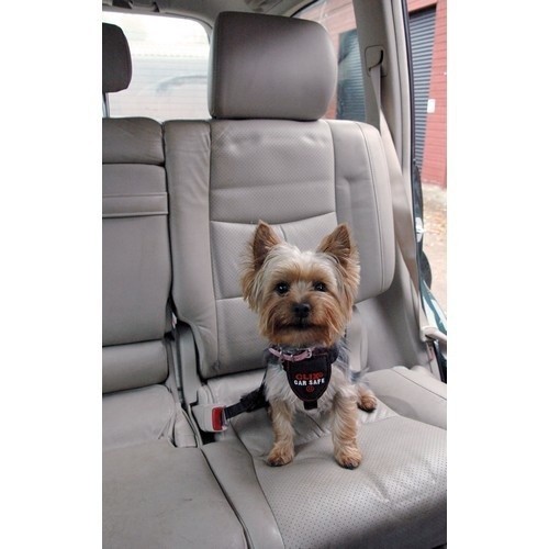 Arnês preto para cães em carro