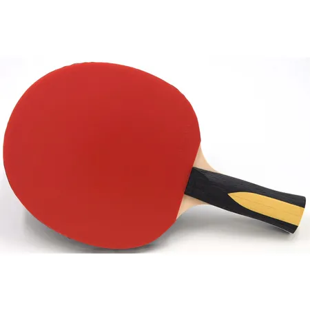 sunflex Trainingsschläger EXPERT A30, ITTF zugelassen