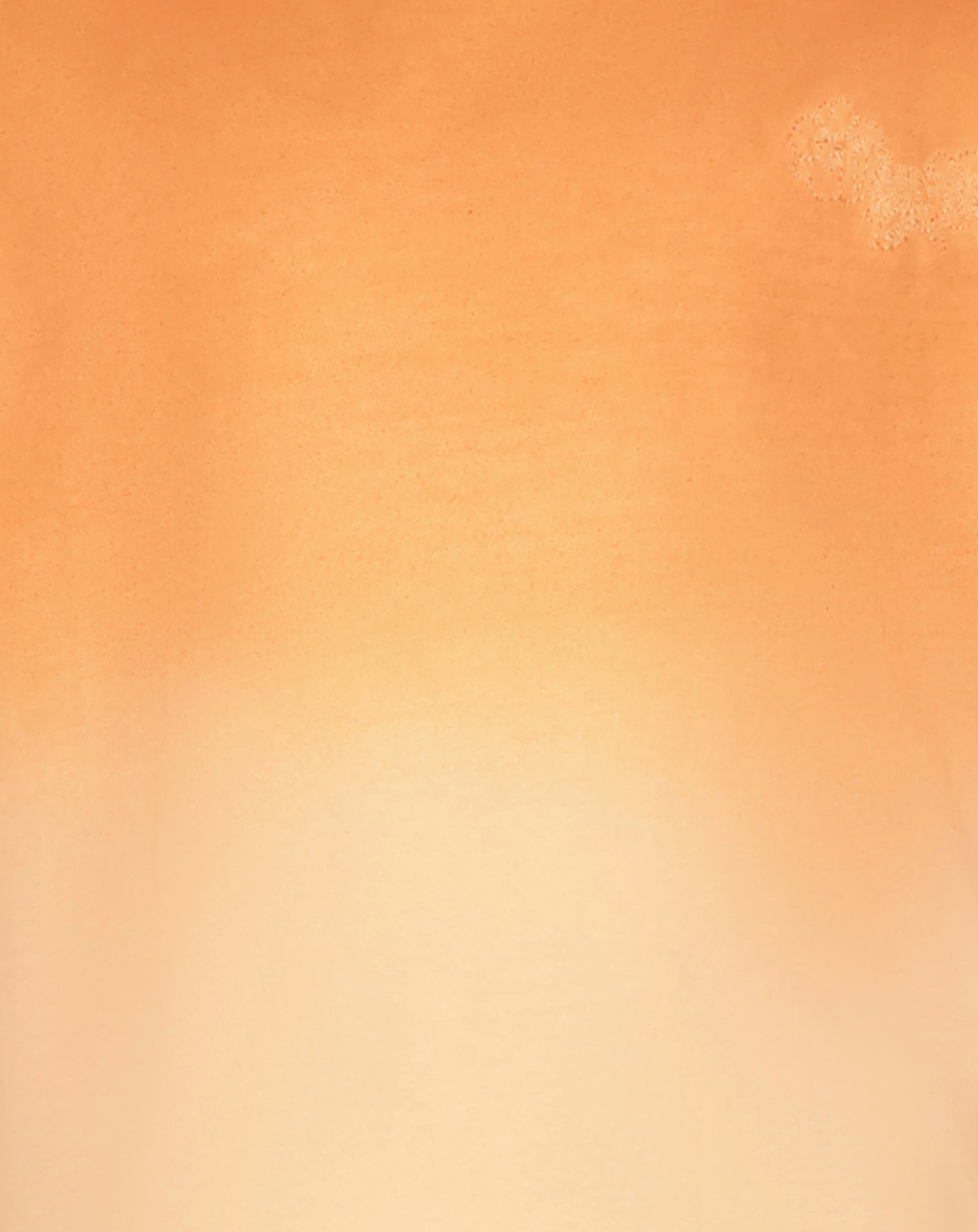 T-Shirt HAIKE in baked brown