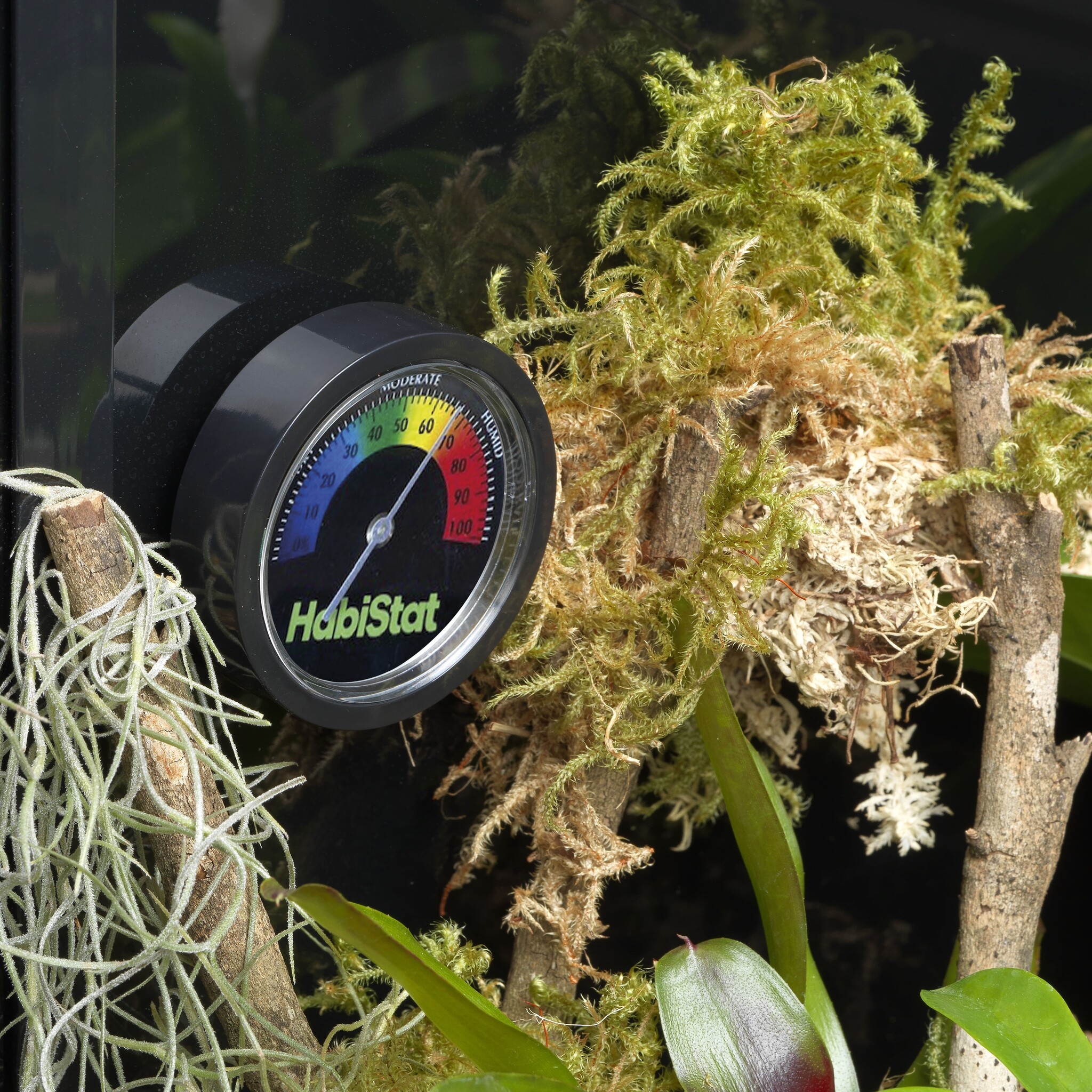 Habistat Analoge Terrarium Hygrometer
