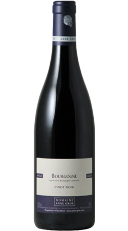 Domaine Anne Gros Hautes Côtes de Nuits 2019 Rouge