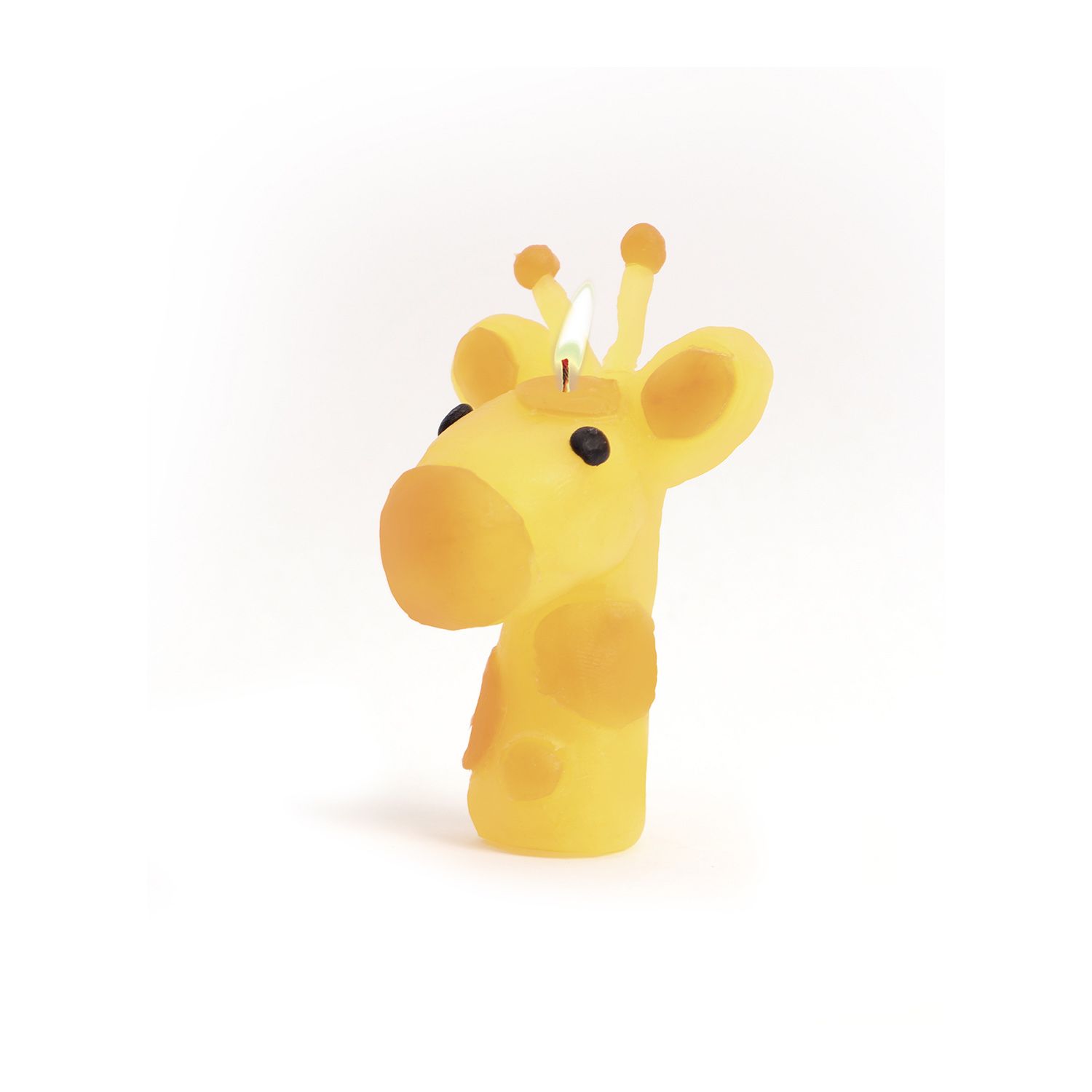 Coffret diy bougies à modeler animaux sauvages