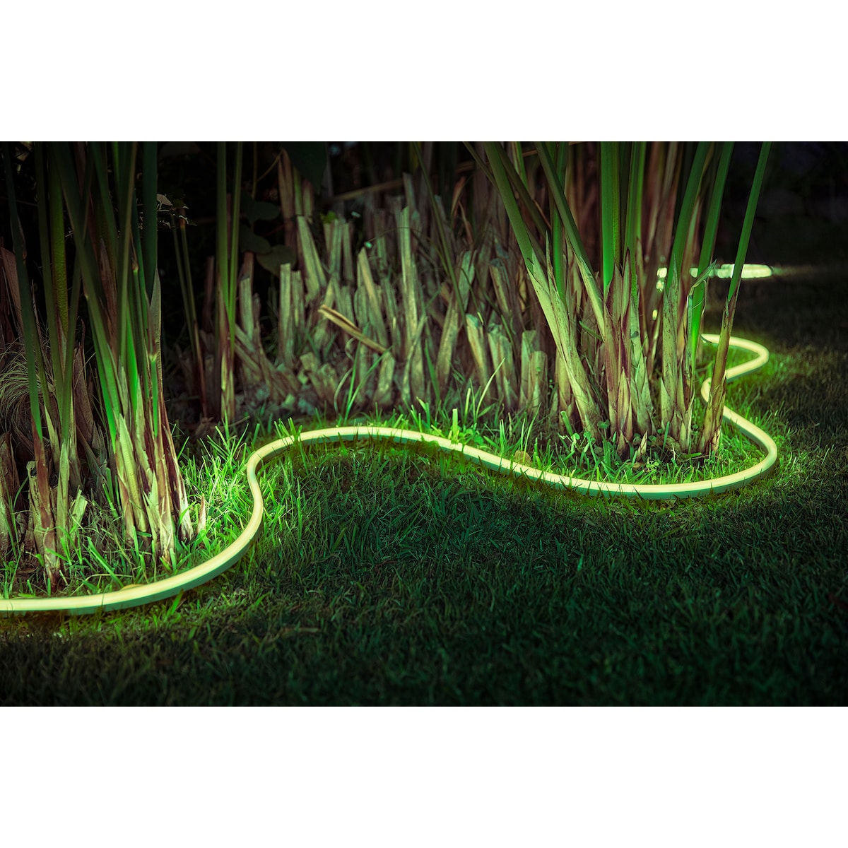 Philips Hue lysstripe Outdoor 5m
