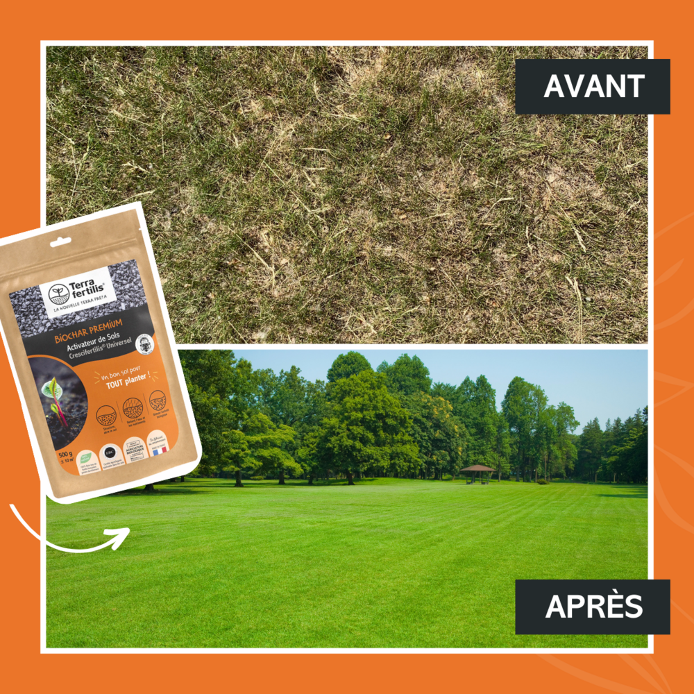 Fertilisant universel à base de biochar - 500g