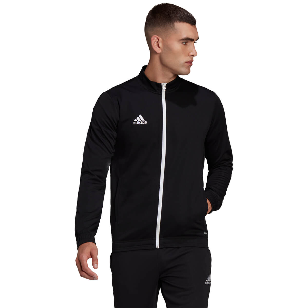 adidas Entrada 22 Træningstrøje Herre