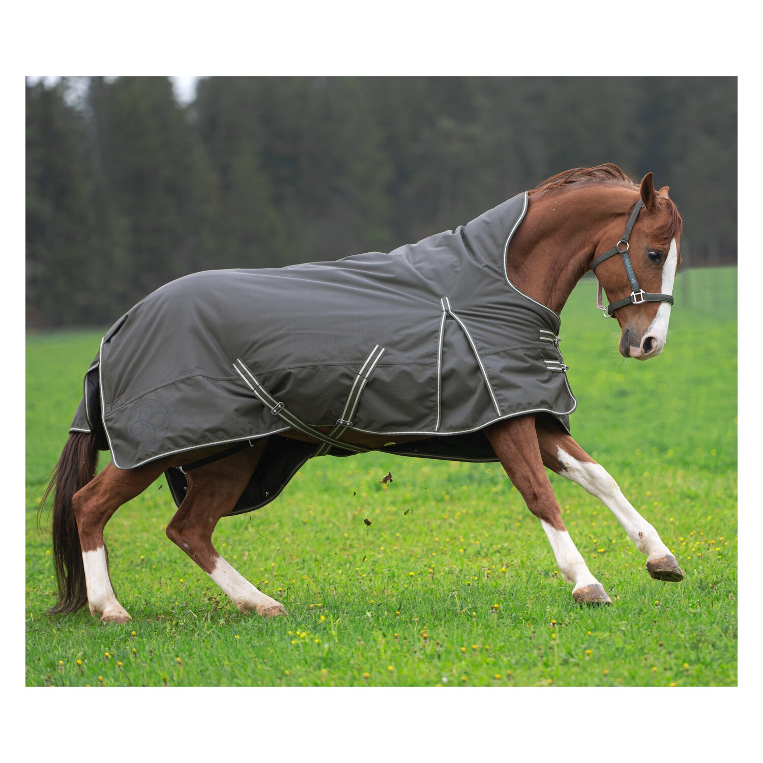Passion 4Q 3-Zonen Outdoordecke - dark smoke
