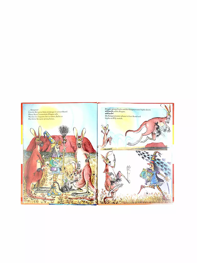 BELTZ & GELBERG VERLAG Buch - Zilly Zingaro. Reise um die Welt keine Farbe