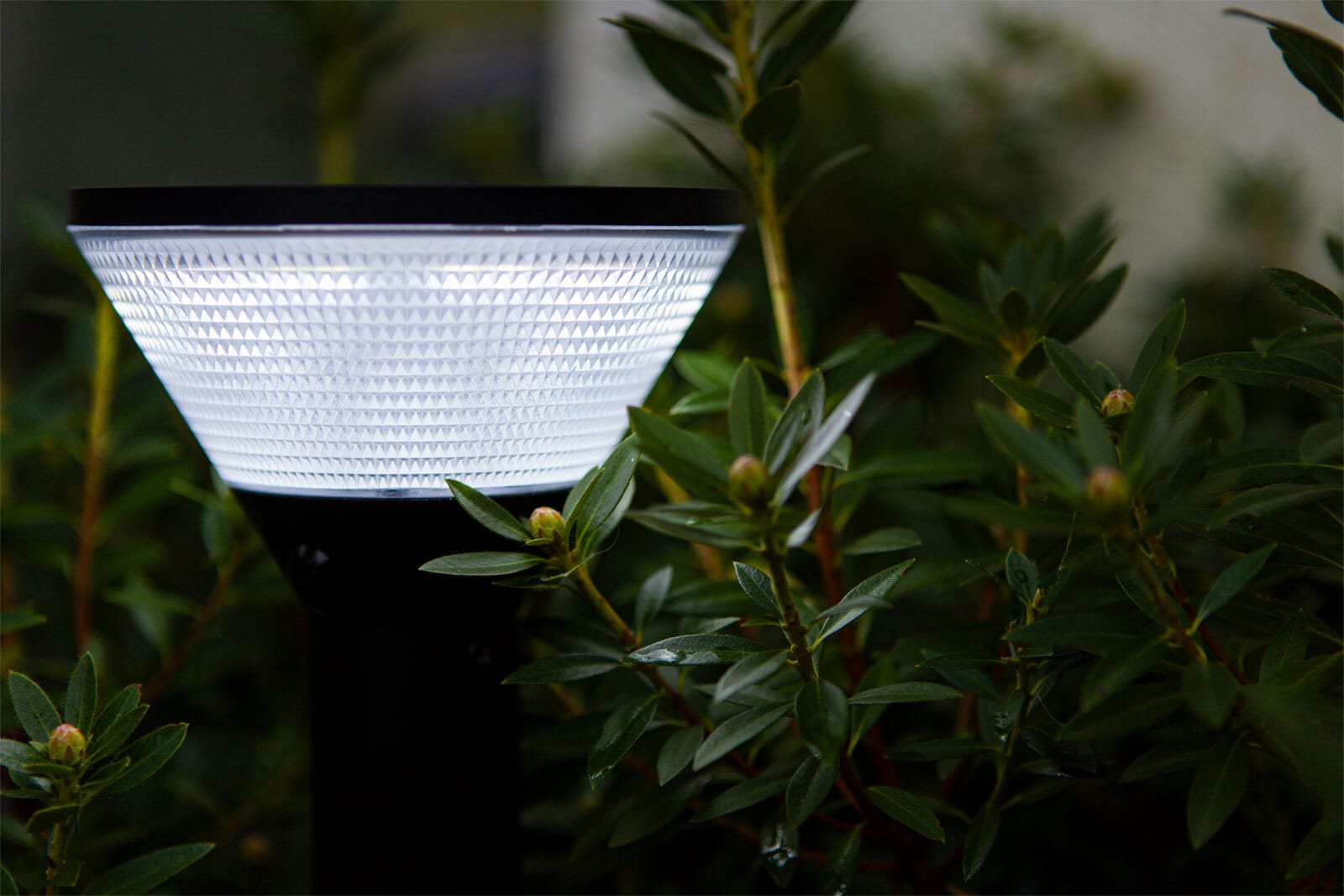 ECO-LIGHT LED Solar Wegeleuchte KARLO 45 cm schwarz
