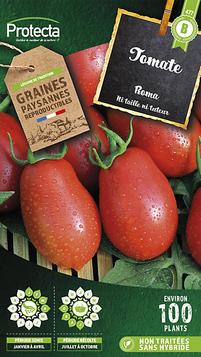 Graine de tomate Roma non traitée Protecta