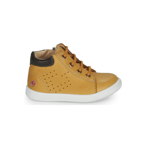 GBB - FOLLIO - Ocre