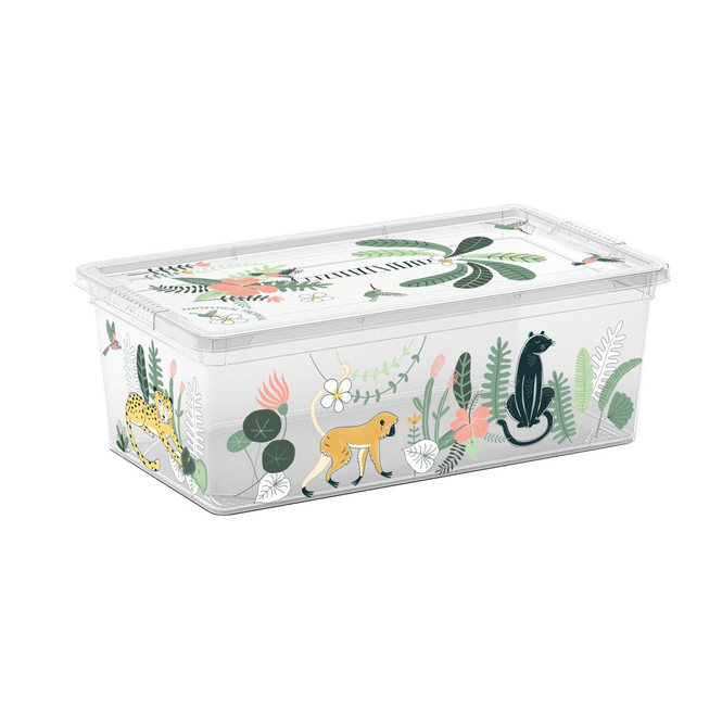 C Box - XS - Fantastical Tropical - 6 L