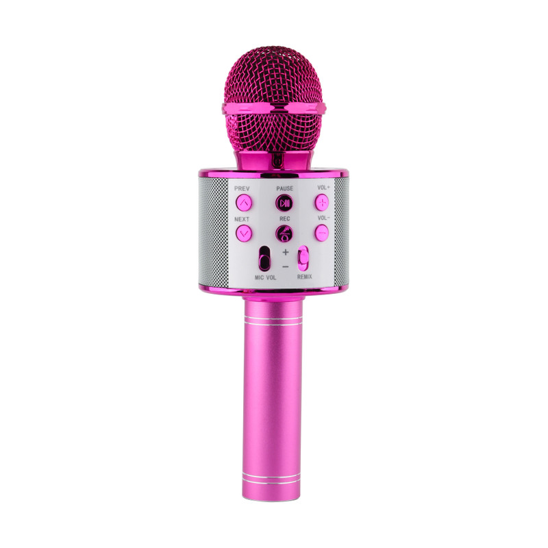Microfoon karaoke - diverse kleuren - ø7x22.5 cm