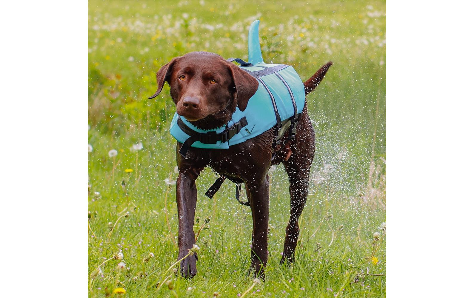 Schwimmweste Sharki XS, 25 cm, BlauHundeweste