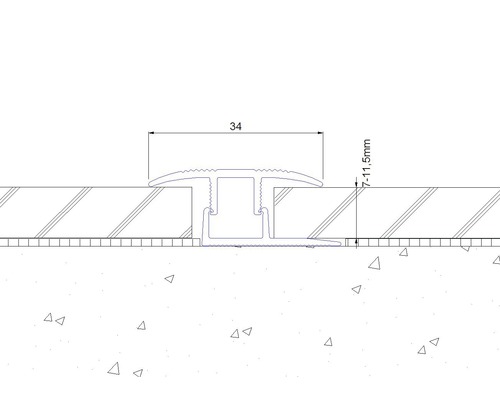 SKANDOR overgangsprofiel champagne geanodiseerd incl. cliprail 11x34x900 mm