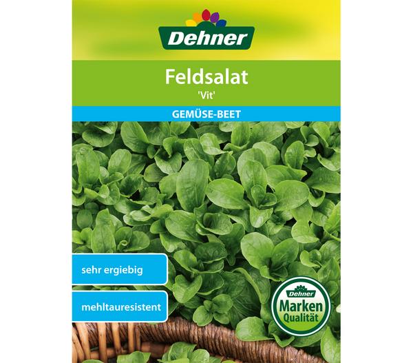 Dehner Samen Feldsalat 'Vit'
