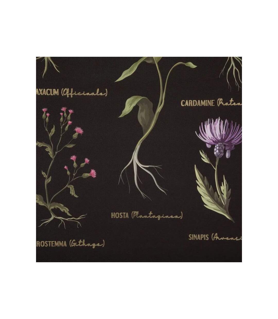 Toile Murale Déco Midnight Garden 50x73cm Noir