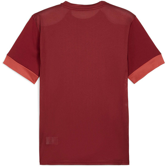 Puma GOAL Training Shirt