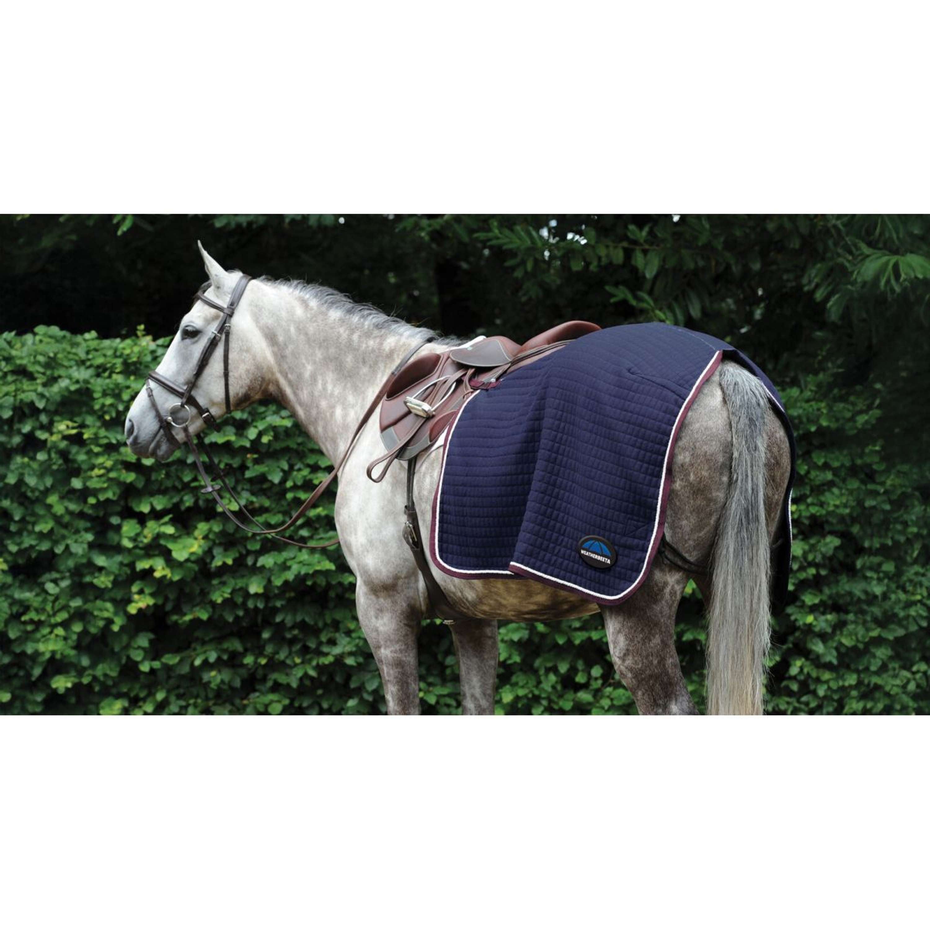 WeatherBeeta Uitrijdeken Thermocell Quarter Sheet Navy/Burgundy