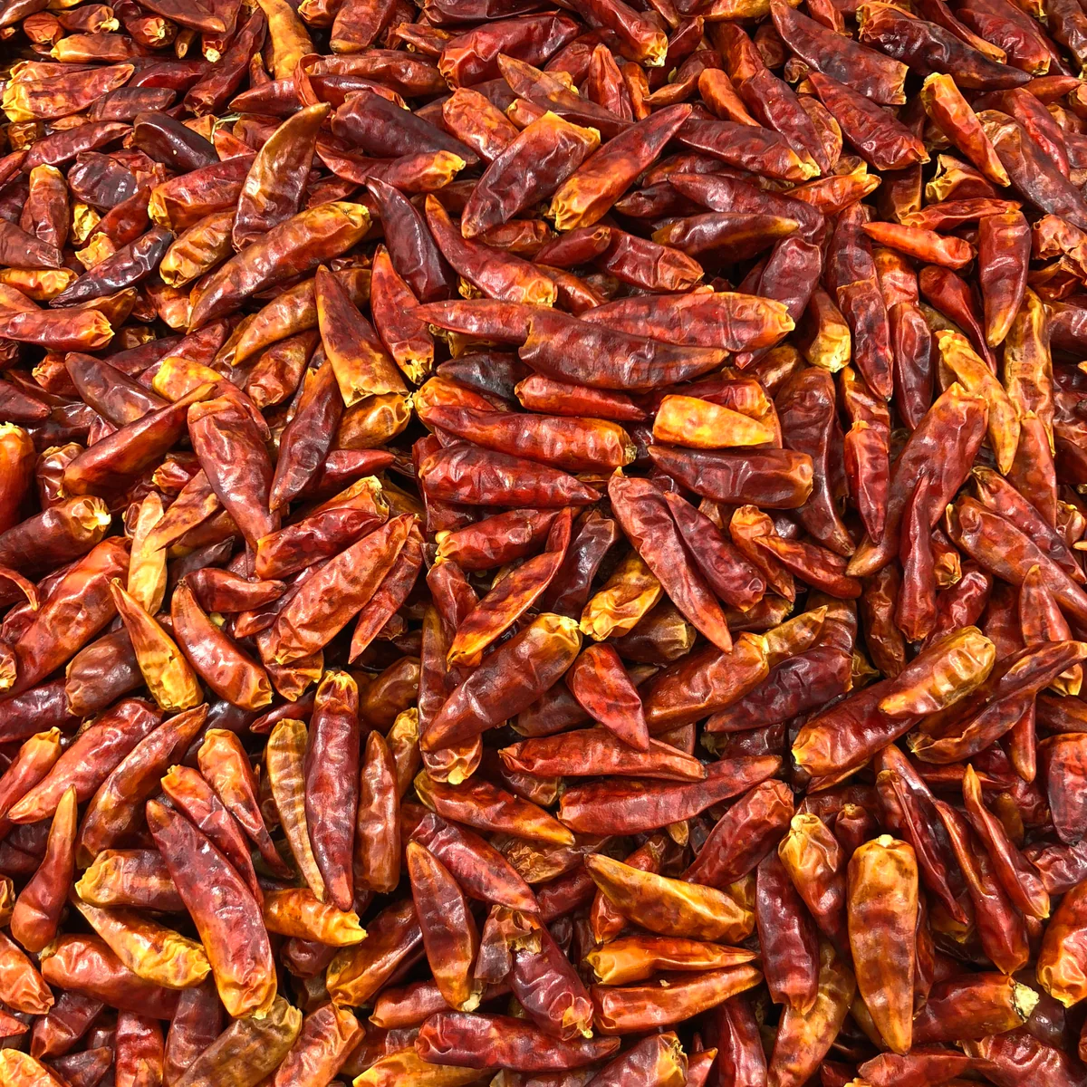 Piment Langue d'Oiseau Bio en Vrac 10kg Vrac Bio