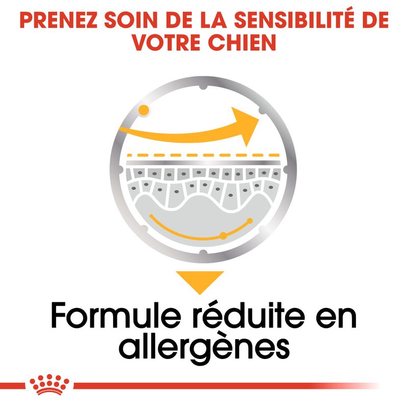 Royal Canin Dermacomfort en mousse