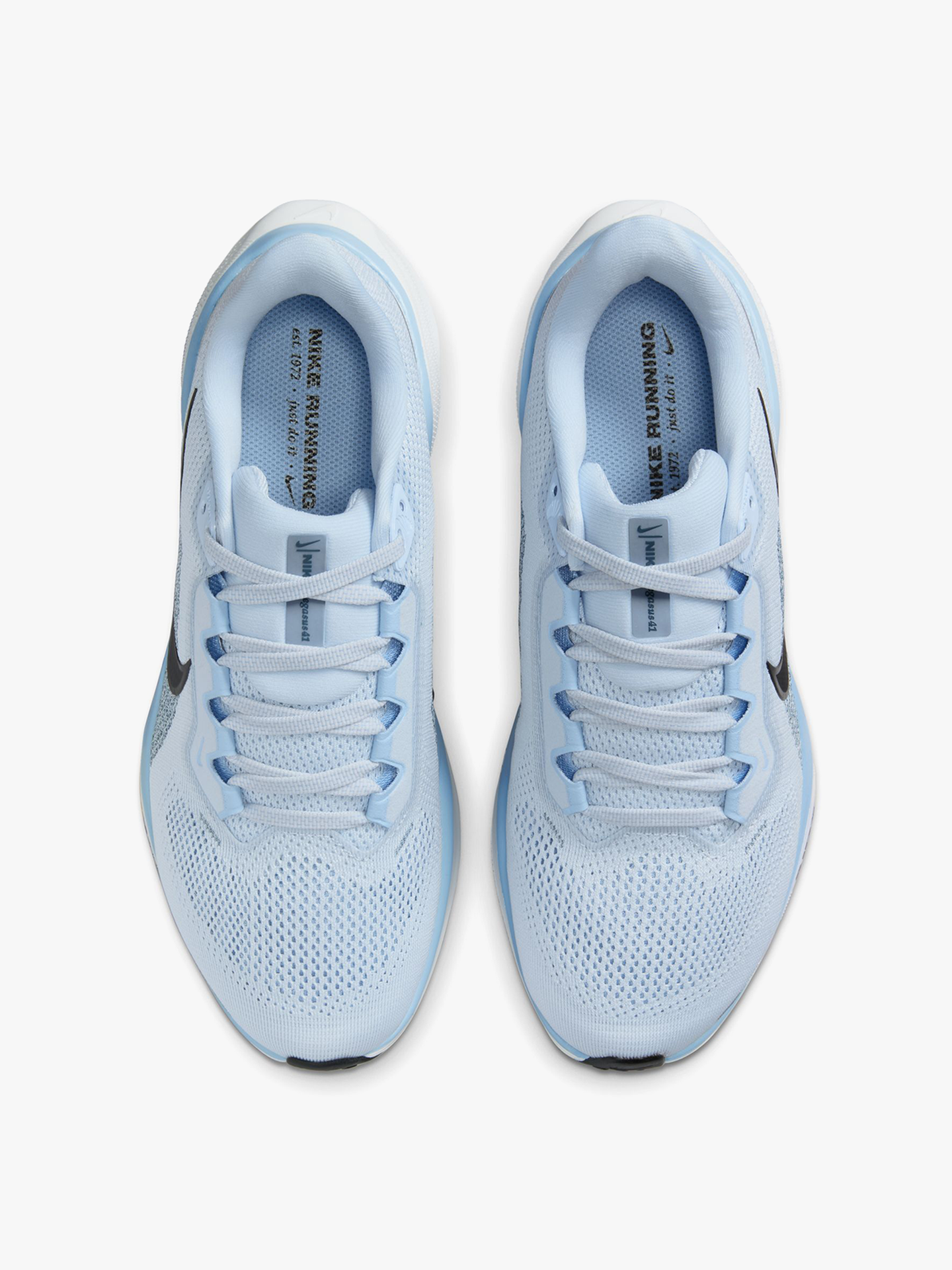 Pegasus 41