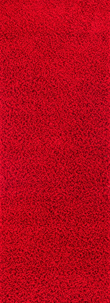 Modern hoogpolig shaggy haltapijt rood 80x220 cm LILLY