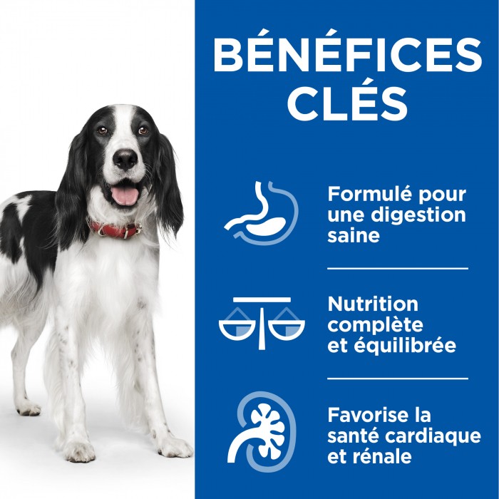 HILL'S Science Plan Healthy Cuisine Medium & Large Adult en Mijotés – Pâtée pour chien