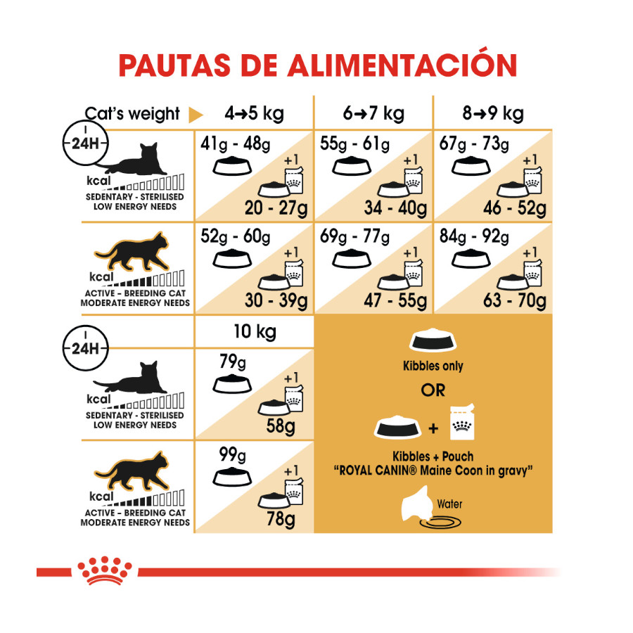 Ração Royal Canin Adult Maine Coon para gatos