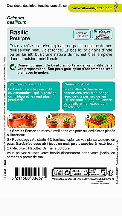 Graines de Basilic Pourpre Vilmorin