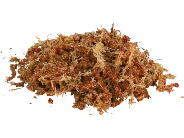 Trixie Medium Moss Sphagnum 100g